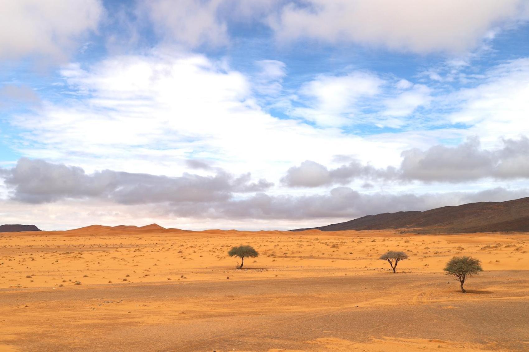 Porte De Sahara Ouzina ภายนอก รูปภาพ